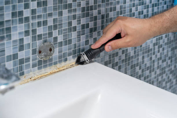 Best Mold Remediation for Specific Building Types in Grant Park, IL