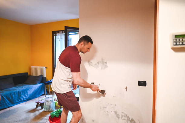 Best Mold Remediation for Specific Building Types in Grant Park, IL