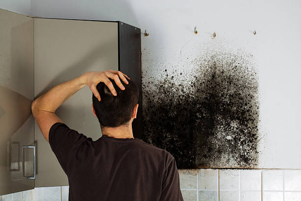 Grant Park, IL Mold Remediation Company